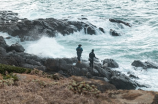 海贼王恶魔果实(海贼王恶魔果实介绍)